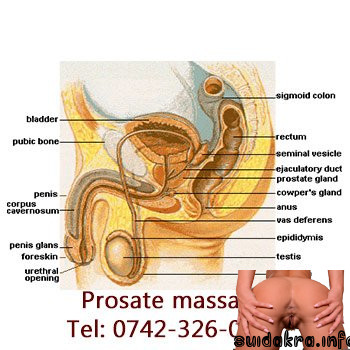 prostate massage with a dildo erotic prostate